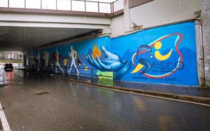 Siamo Energia Boris Veliz